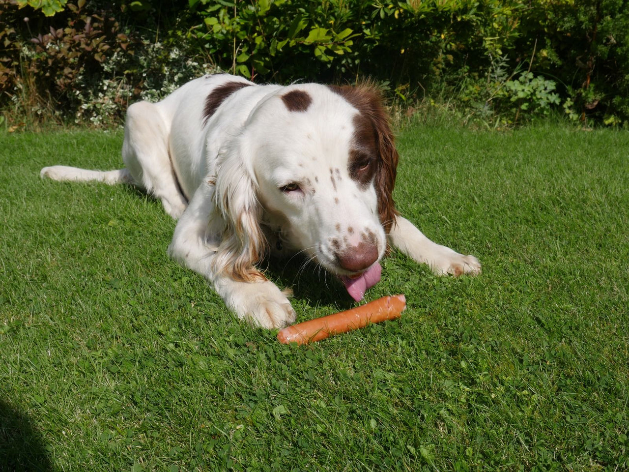 Rosewood Daily Eats Hot Dog Sausages Dog Treats 220g - 220G