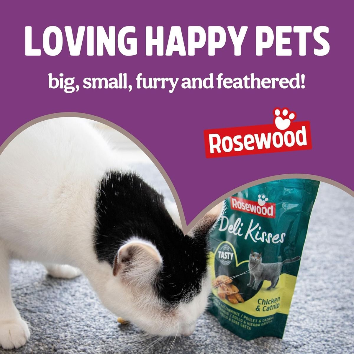 Rosewood Pick'n' Mix Meaty Mix Cat Treats 180g Value Pack - 180G