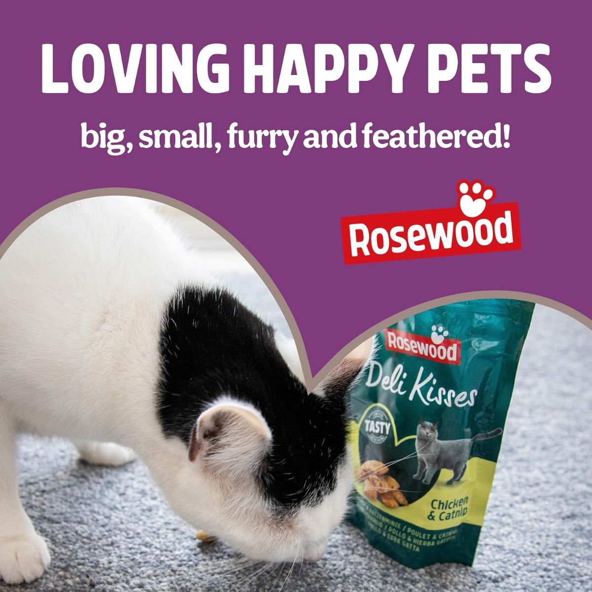 Rosewood Pick'n' Mix Seafood Mix Cat Treat 180g Value Pack - 180G