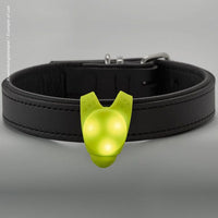 Thumbnail for Hunter LED Silicon Dog Blinker  -