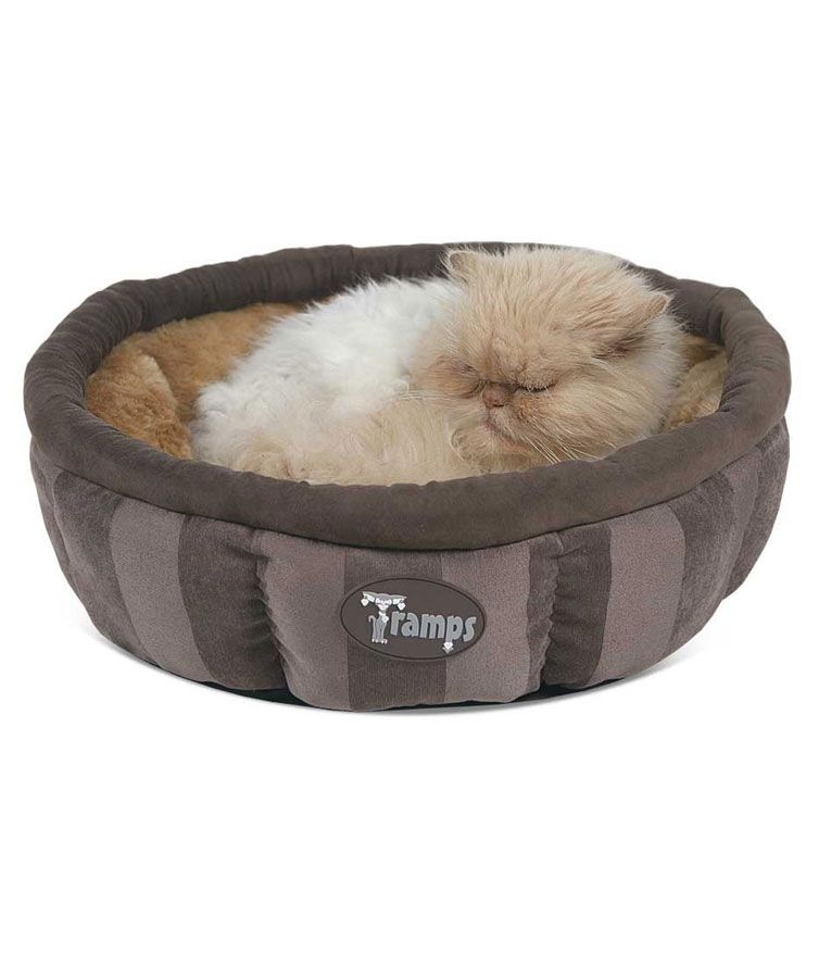 Scruffs AristoCat Tramps Ring Cat Bed - BROWN