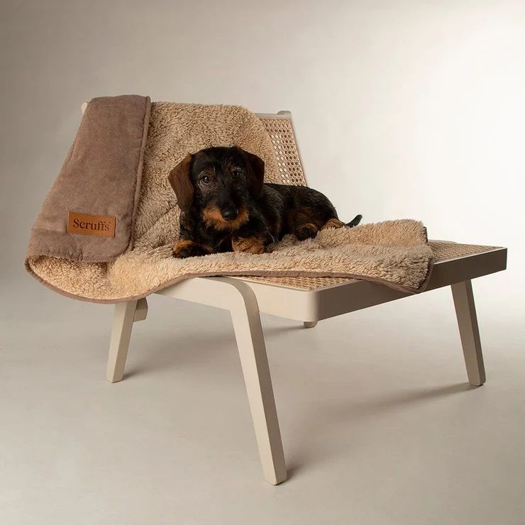 Scruffs Snuggle Dog Blanket - Caramel Brown