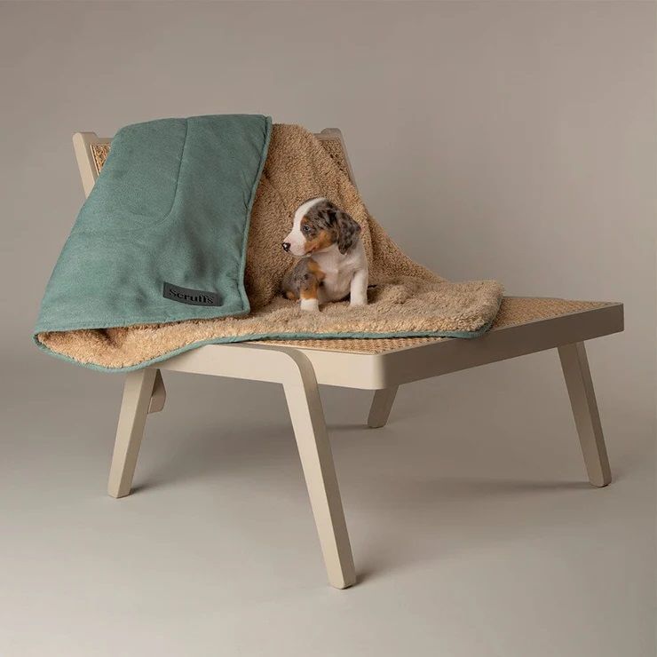 Scruffs Snuggle Dog Blanket - Sage Green