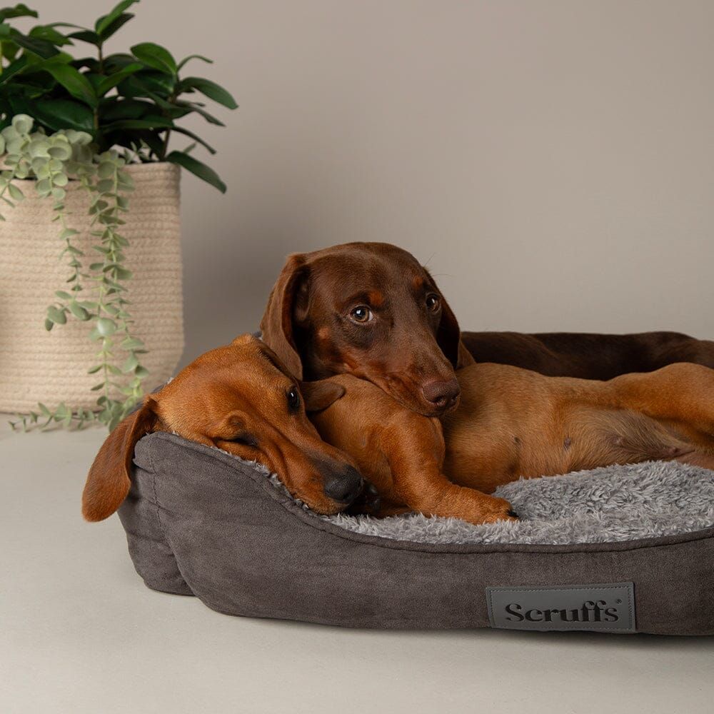 Scruffs Cosy Soft-Walled Dog Bed - Grey