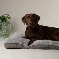 Scruffs Cosy Mattress Dog Bed Grey - Medium