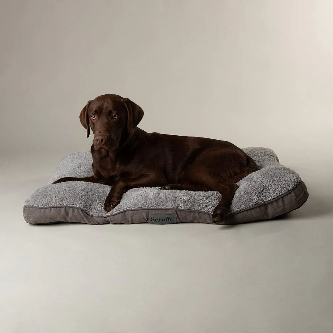 Scruffs Cosy Mattress Dog Bed Grey - Medium