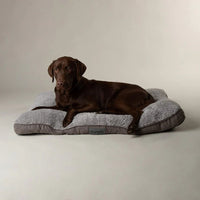 Scruffs Cosy Mattress Dog Bed Grey - Medium