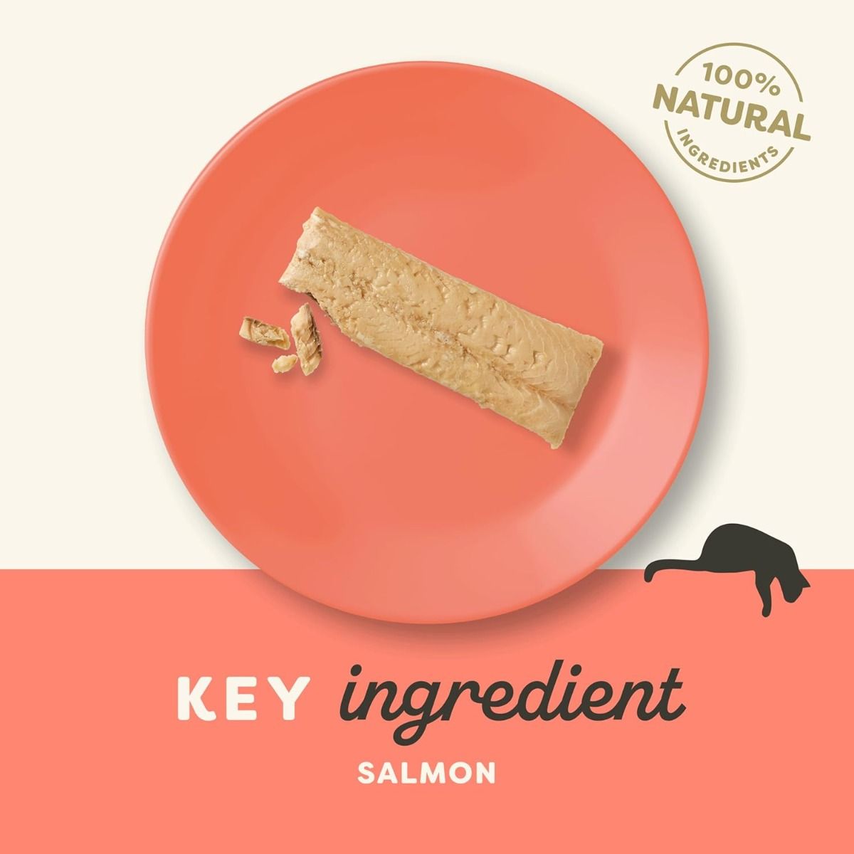 Applaws Salmon Fillet Cat Treats 30g - 30g