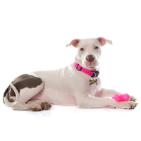 ID Tag Bone Large Raised Edge Eat Play Sleep  -
