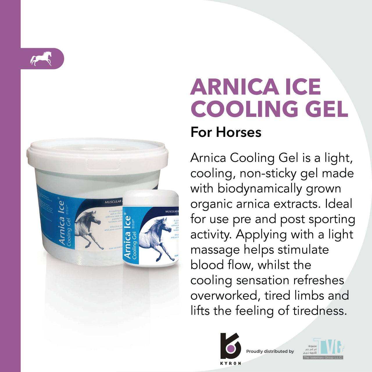 Arnica Ice Cooling Gel