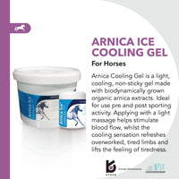 Thumbnail for Arnica Ice Cooling Gel