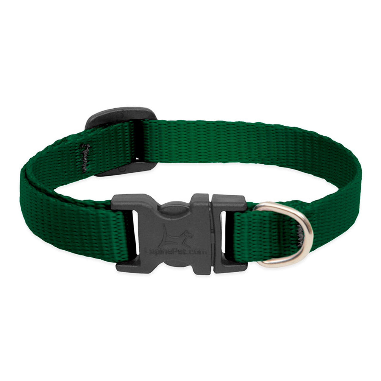 BASICS Adjustable Collar GREEN 1″ FOR LARGE DOGS - 12"-20"