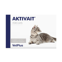 Aktivait Cat