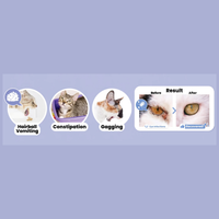 Altimate Pet Supplement for Cats – Hairball Powder 150g