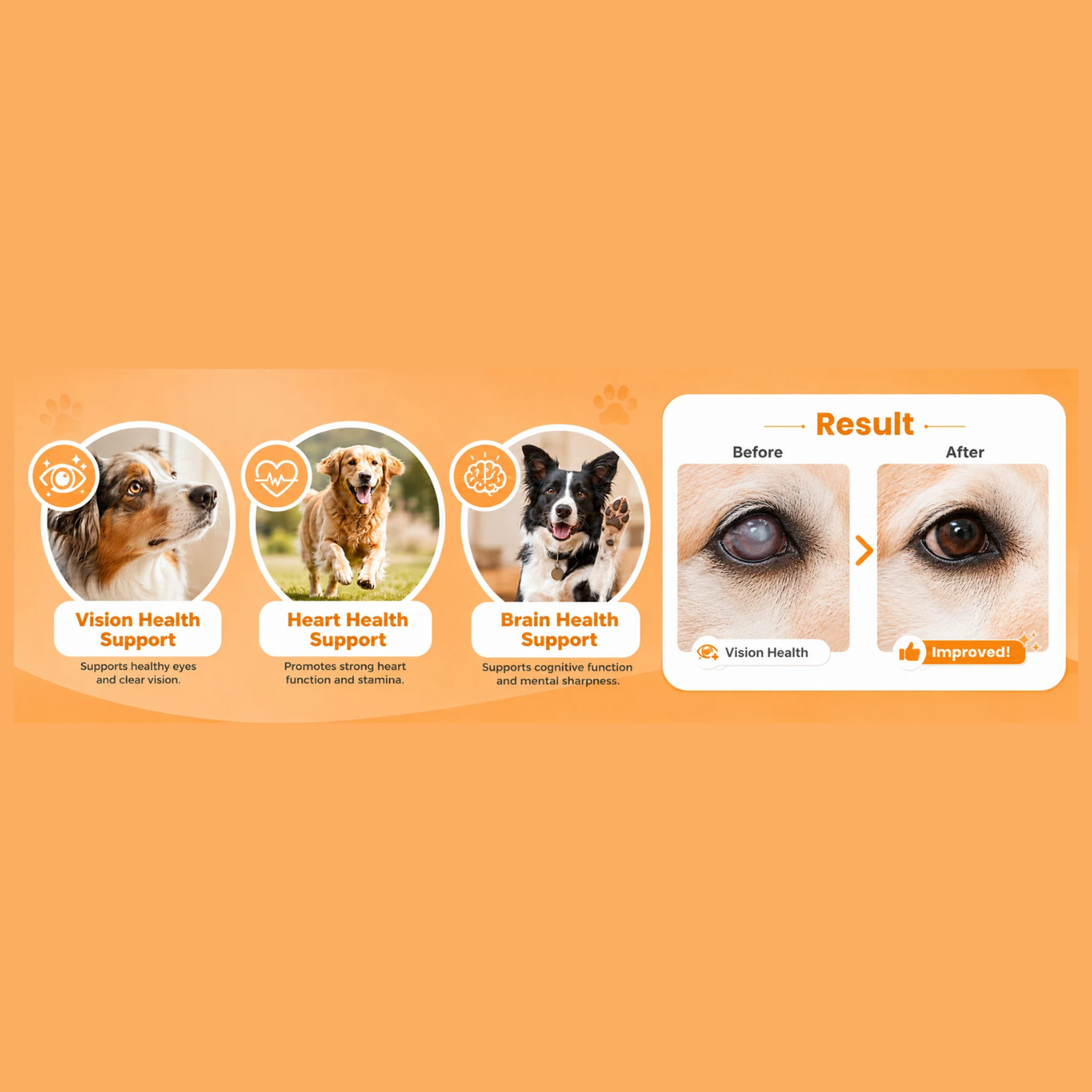 Altimate Pet Supplement for Dogs- 12 in 1 Chews 250g