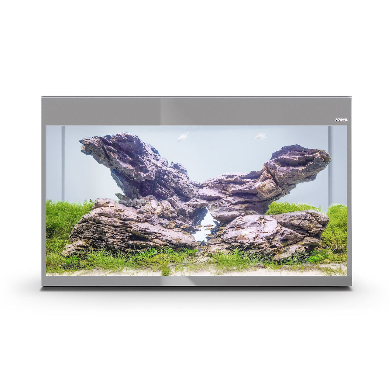 Aquael Aquarium Set Glossy ST Day & Night-White-100 x 40 x 63cm [215Litres]