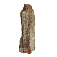 Aqualife Burmese Wood Fossil Stone-Per Kg