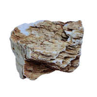 Aqualife Chicken Bone Stone-Per Kg