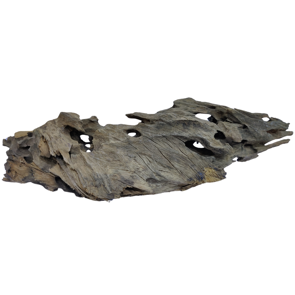 Aqualife Honeycomb Wood-Per Kg