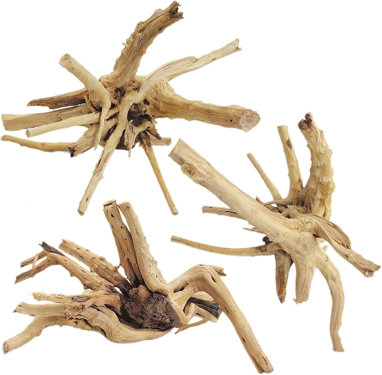 Aqualife Little Tree Root-Per Kg