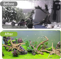 Aqualife Little Tree Root-Per Kg