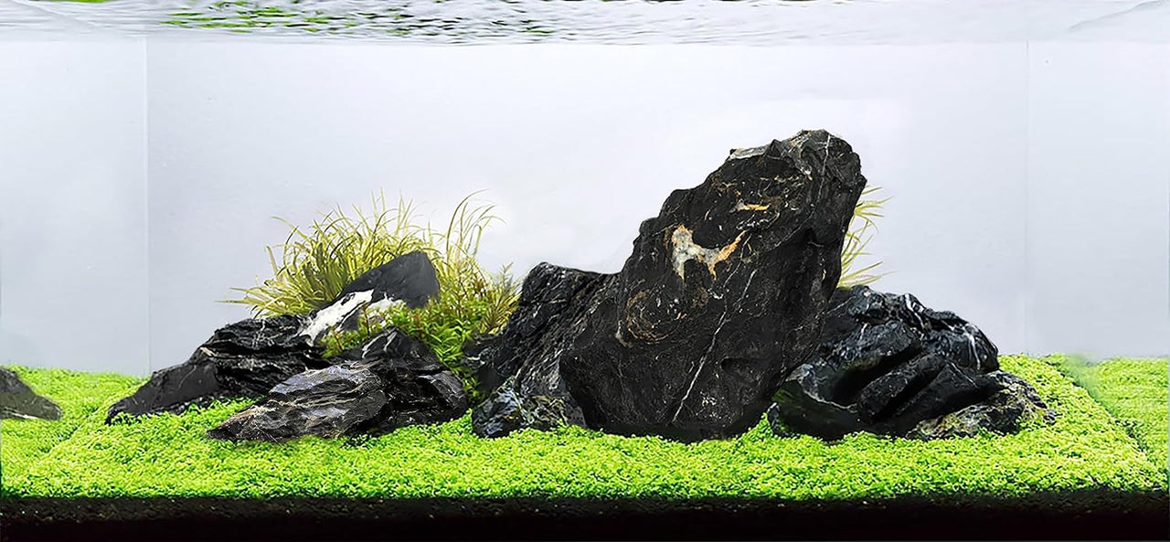 Aqualife Seiryu Stone-Per Kg