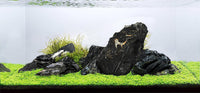 Aqualife Seiryu Stone-Per Kg