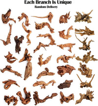 Aqualife Small Red Sunken Wood-Per Kg