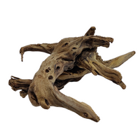 Aqualife Thorn Tree-Per Kg
