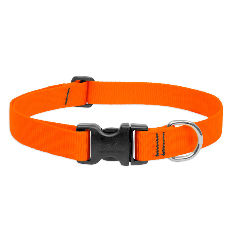 BASICS Adjustable Collar ORANGE 3/4″ FOR MEDIUM DOGS - 9"-14"