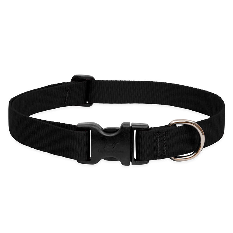 BASICS Adjustable Collar BLACK 3/4″ FOR MEDIUM DOGS - 9"-14"