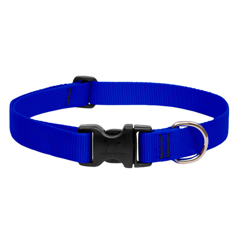 BASICS Adjustable Collar BLUE 3/4″ FOR MEDIUM DOGS - 9"-14"