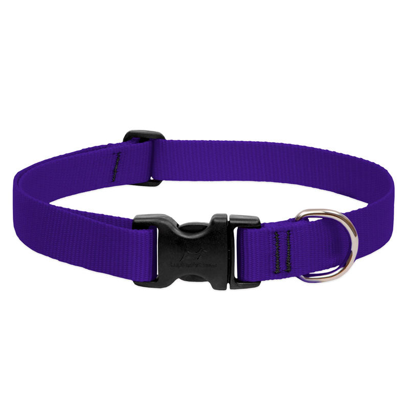 BASICS Adjustable Collar PURPLE 1″ FOR BIG DOGS - 16"-28"