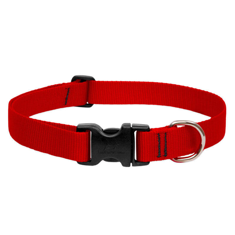 BASICS Adjustable Collar RED 1/2″ FOR SMALL DOGS - 10"-16"