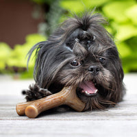 Thumbnail for Benebone Bacon Stick Dog Chew Toy - Medium