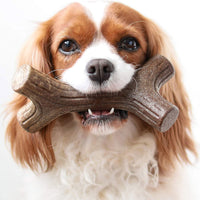 Thumbnail for Benebone Maplestick Chew Dog Toy - Medium