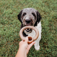 Thumbnail for Benebone RING Dog Toy – Bacon - Medium