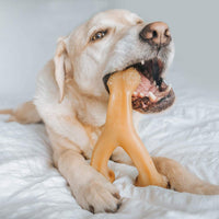 Thumbnail for Benebone Wishbone Dog Chew Toy – Chicken - Giant