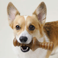 Thumbnail for Benebone Zaggler Dog Chew Toy – Bacon - Giant