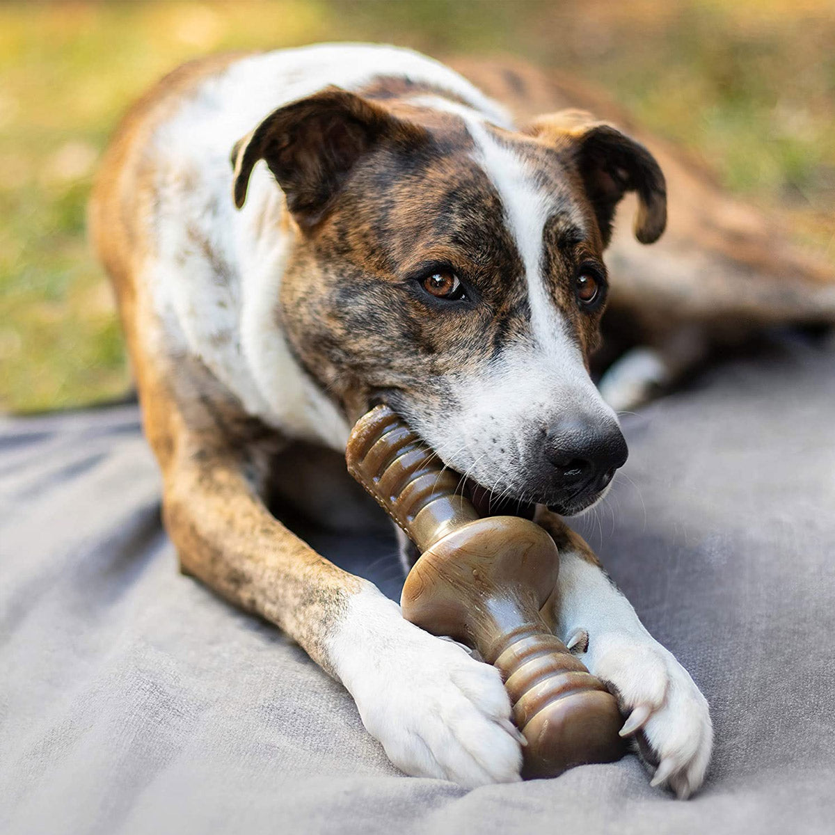 Benebone Zaggler Dog Chew Toy – Bacon - Small