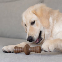 Thumbnail for Benebone Zaggler Dog Chew Toy – Peanut - Giant