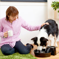 Thumbnail for Big Max Ceramic Pet Drinking Fountain 128oz (Black)