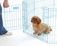 Thumbnail for Blue Exercise Pen with Door 24″