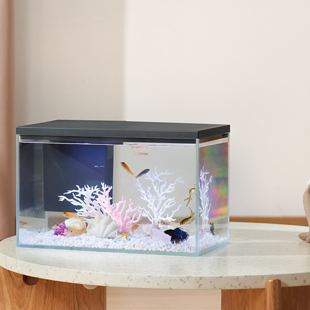 Boyu Pawgether GR-1s WIFI Desktop Aquarium 380x210x240mm (14L)