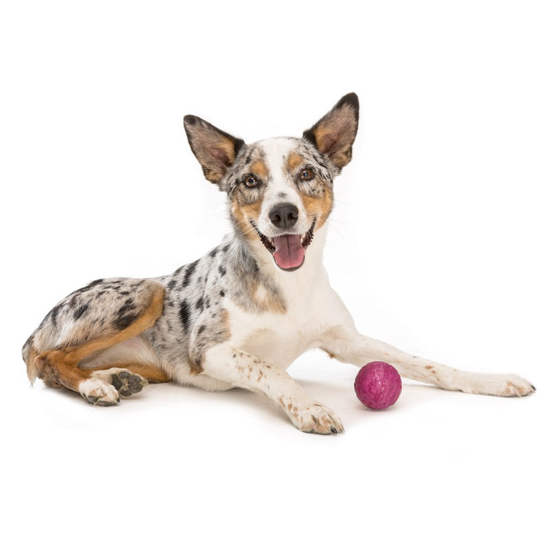 Westpaw Design – Boz Dog Ball - currant