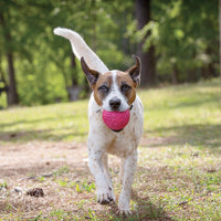 Westpaw Design – Boz Dog Ball - small - currant