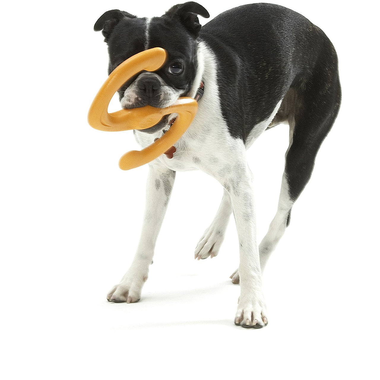 Westpaw Design Būmi Tug Toy - tangerine