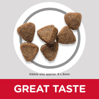 Thumbnail for Hill’s Science Plan Kitten Food With Chicken (7kg) (EXP: 12.25)