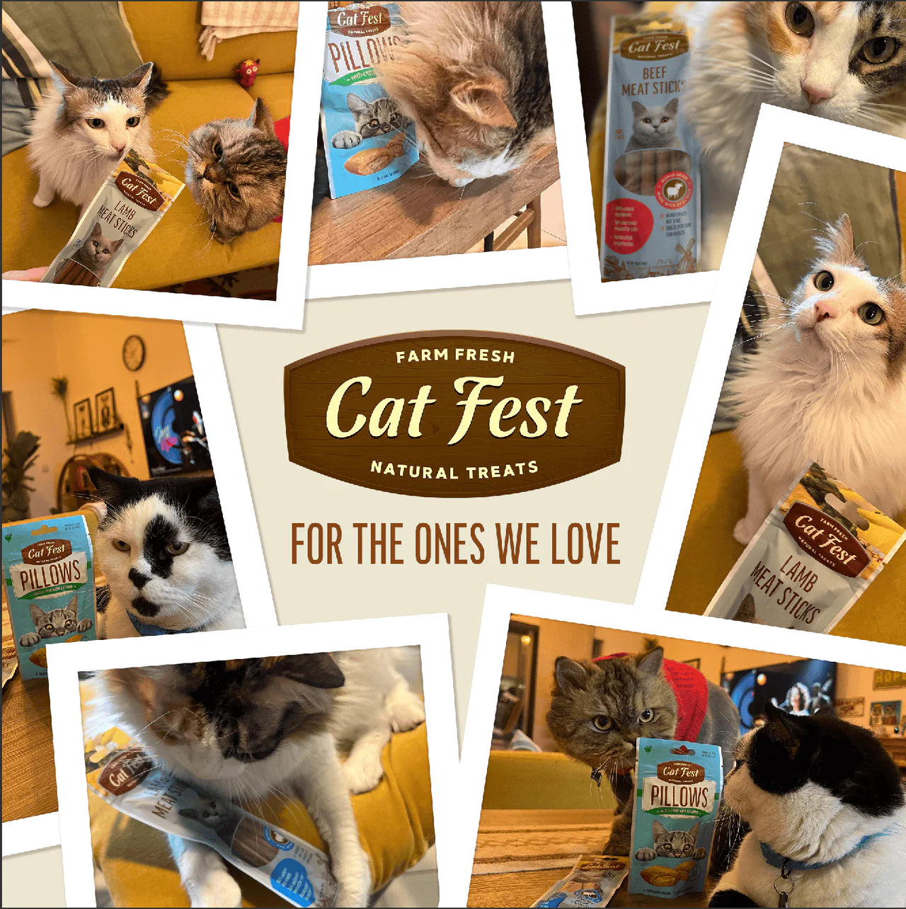 Cat Fest Meat Sticks Duck For Cat[Weight - 45g]