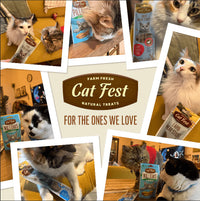Cat Fest Pillows With Chicken Cream[Weight - 30g]